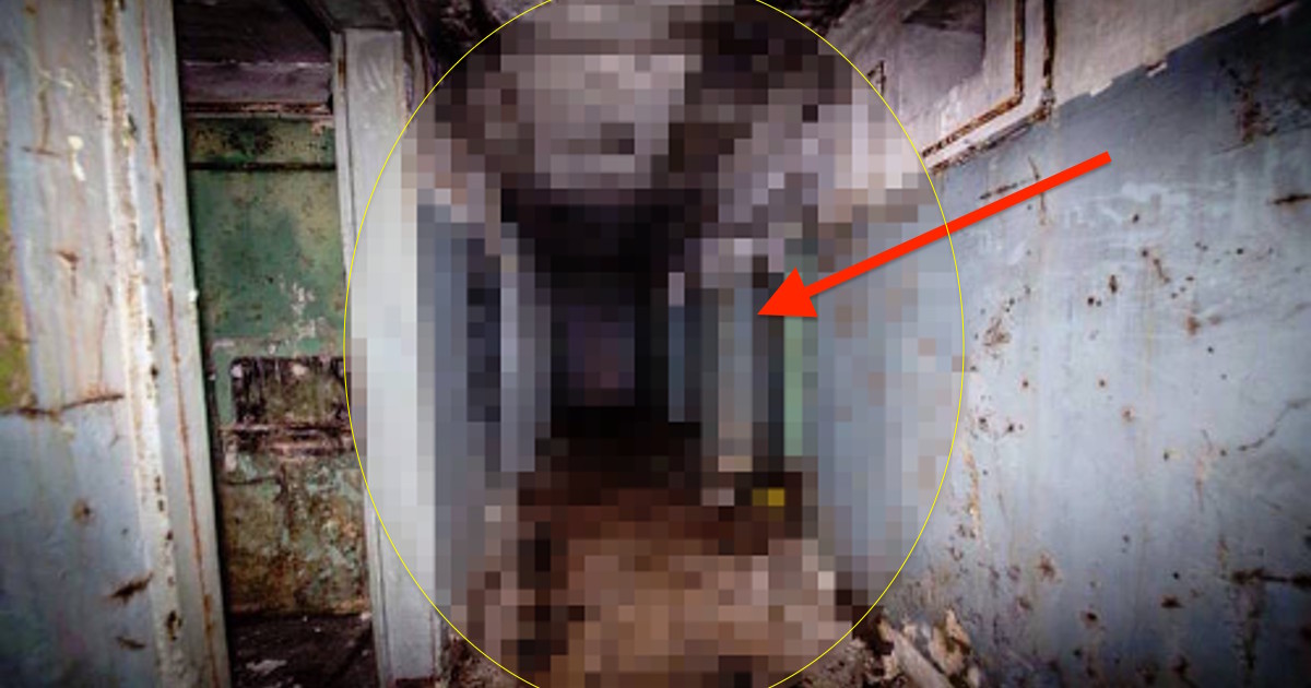 Two Boys Discover A Forgotten Underground Nazi Bunker In The Woods
