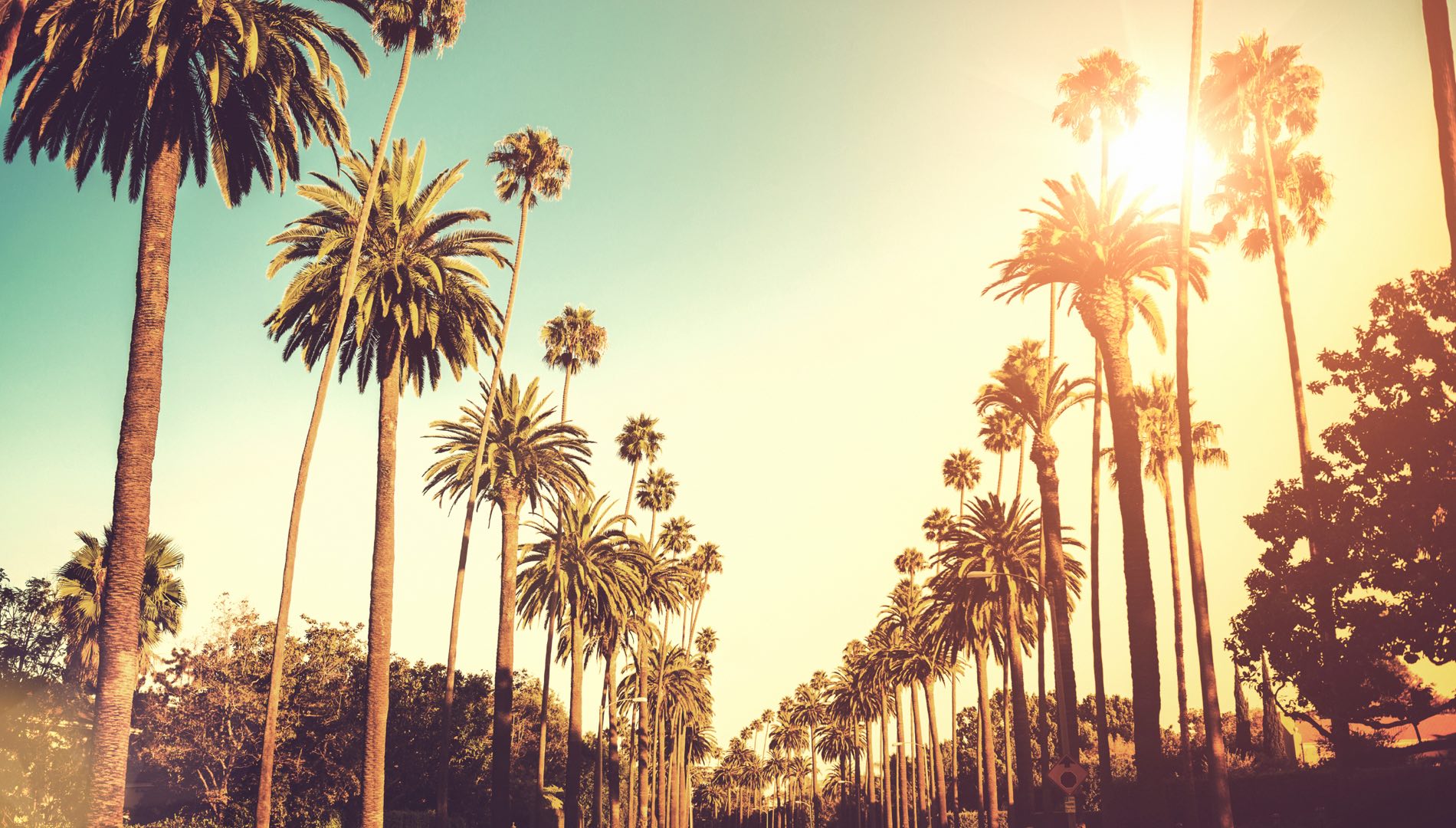 16 Unapologetic Truths About Living In LA From 16 Gorgeous Women