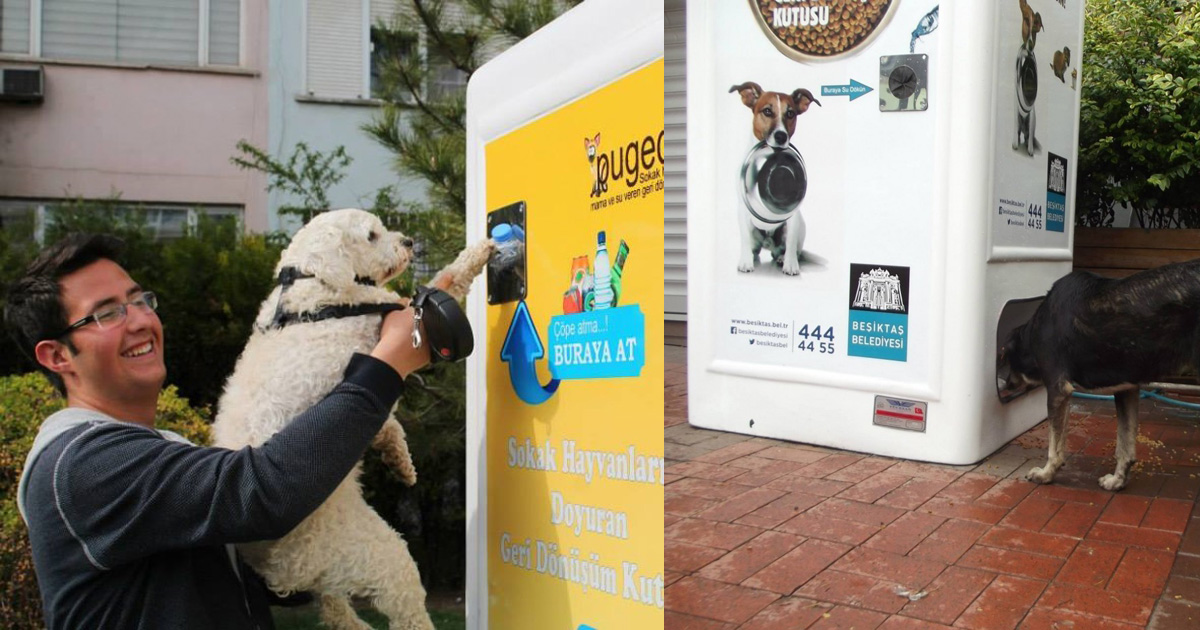 Istanbul Company Creates Food Vending Machines For Homeless Animals