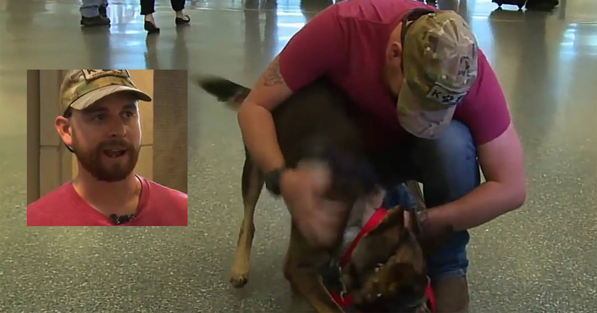US Soldier Reunited With Military Dog After 3 Years