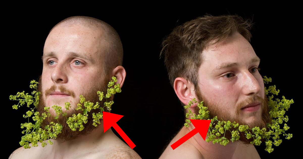 Two Men Turn Their Epic Beards Into Works Of Art 