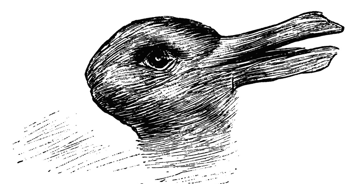Do You See A Duck Or A Bunny In This Optical Illusion? Your Answer Reveals A Lot About You