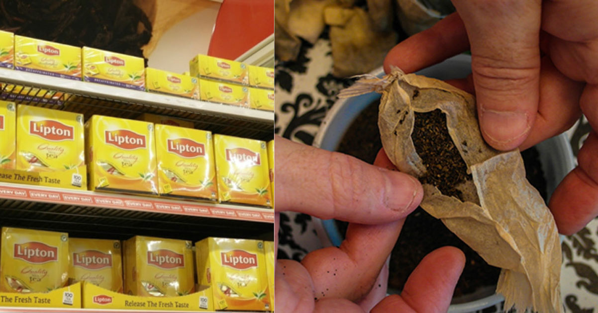 20 Common Tea Brands Found To Contain Toxic Amounts Of Pesticides
