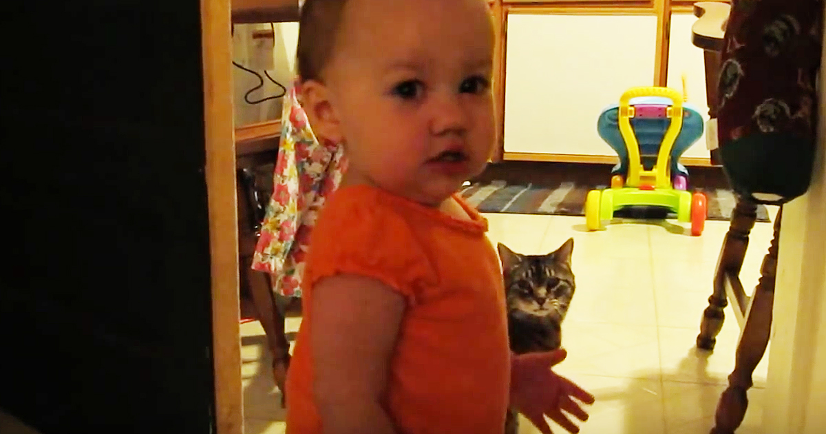 Dad Captures Adorable Daily Conversation Between His Daughter And The Cat