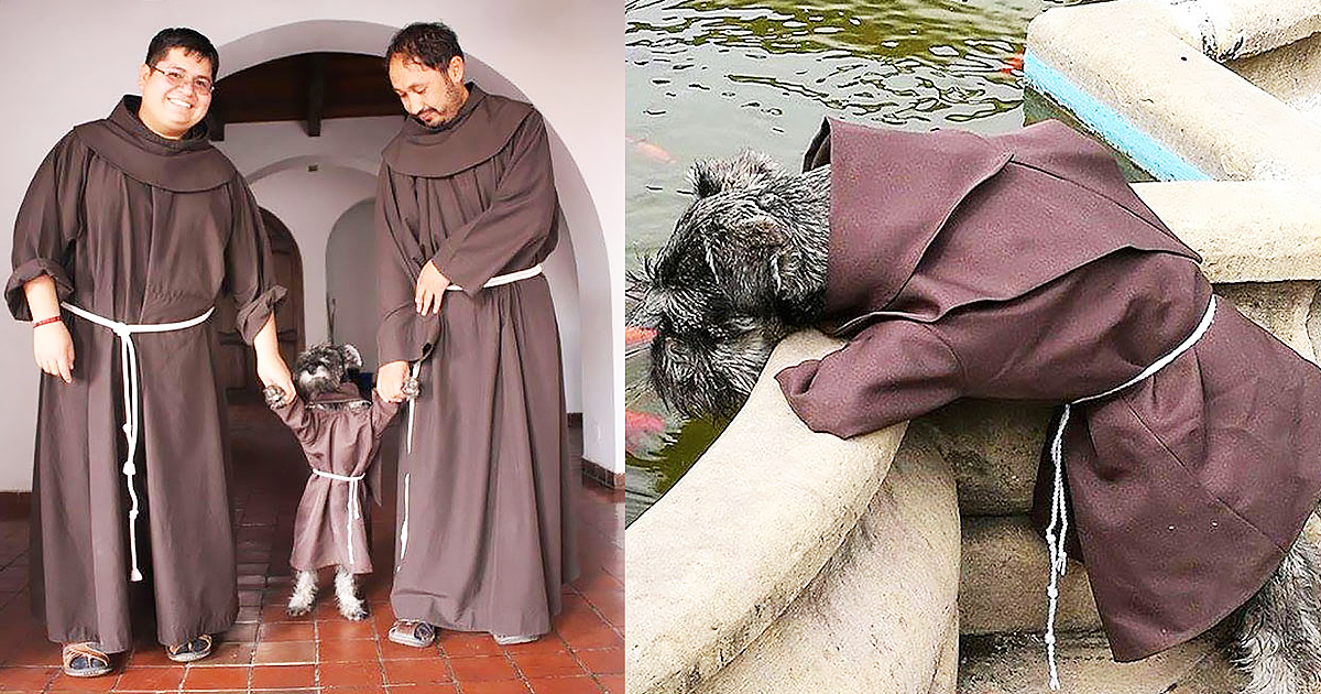Monastery Adopts A Stray Dog, And He's Now Become A Monk Mascot