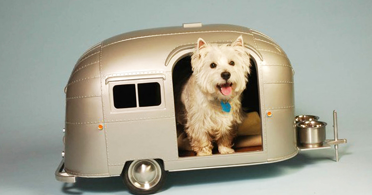 Pet Campers Designed To Royally Pamper Your Fur Baby In Style