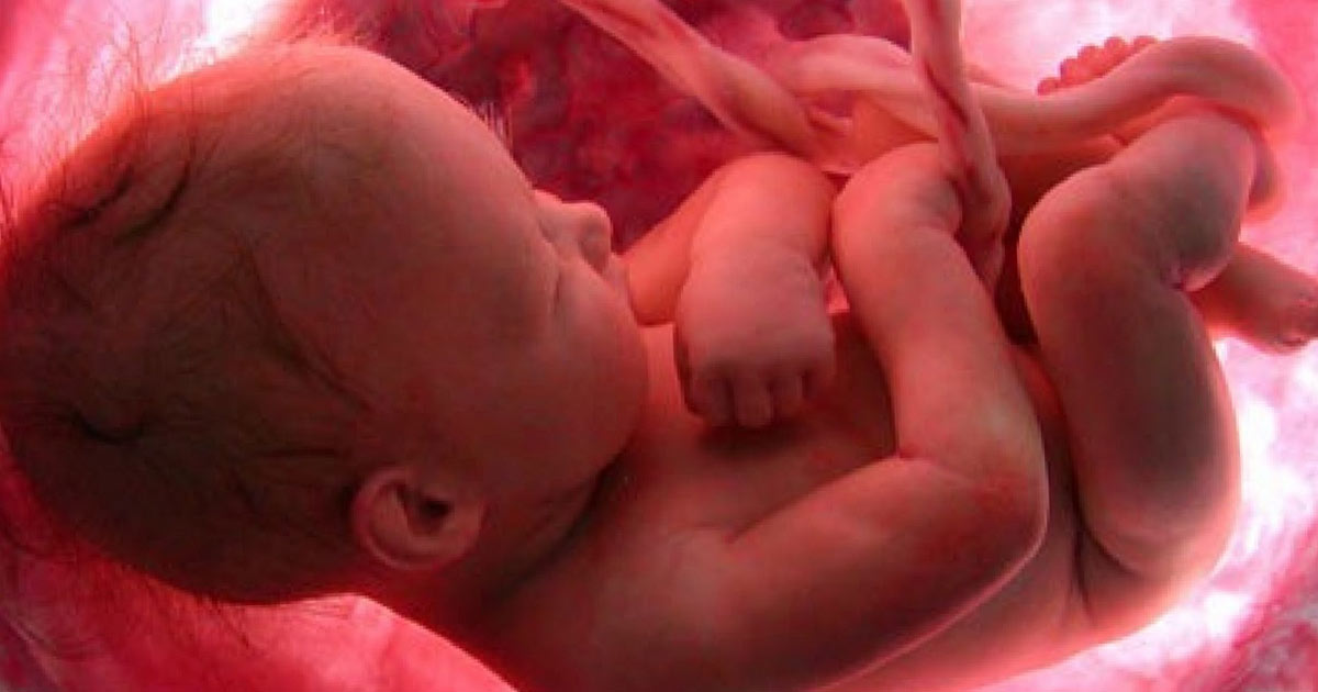 Watch 9 Months Of Life In The Womb Unfold In Just A Few Minutes!