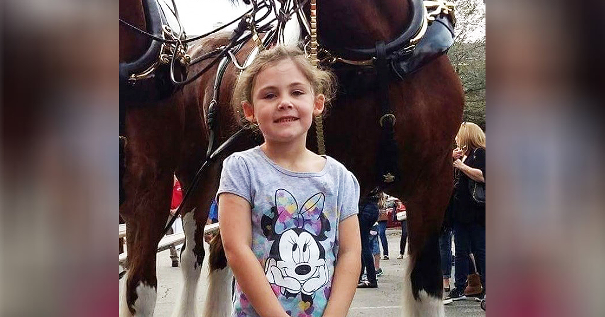 This Little Girl Stands To Pose Alongside A Horse — When Her Dad Sees The Photo, He Bursts Into Laughter