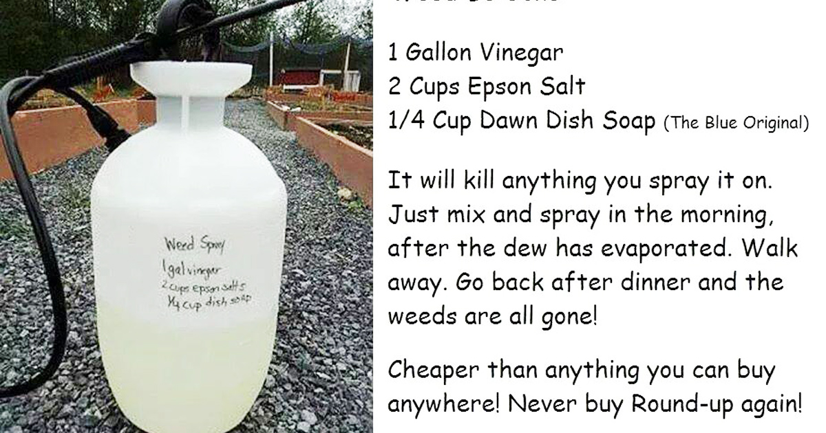 Here's How To Make Your Very Own DIY Weed Killer