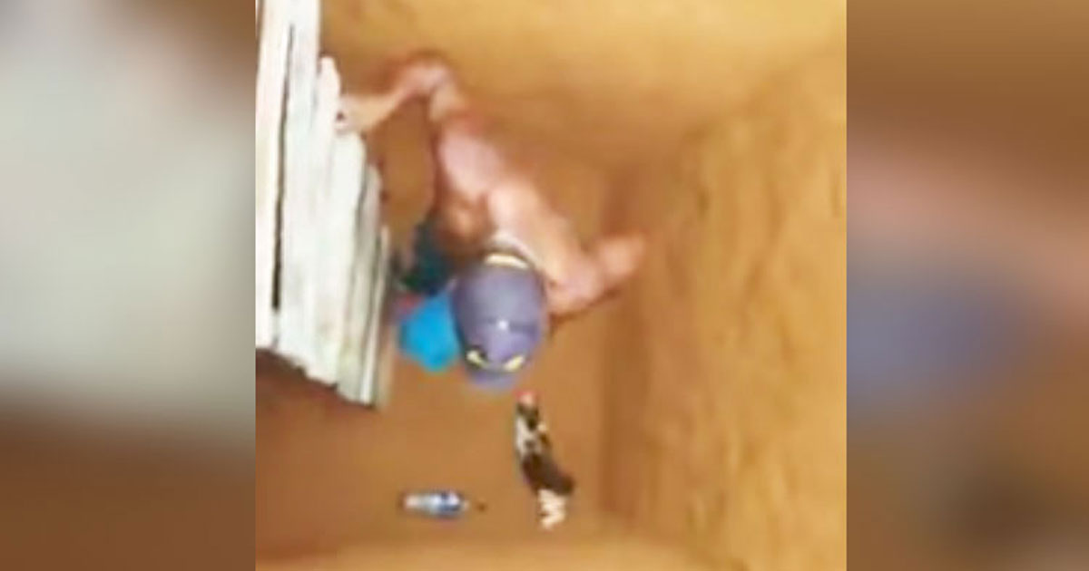 Man Lowers Ladder Into Hole To Rescue Kitty — But The Guy Filming Loses It When The Cat Surprises Them All