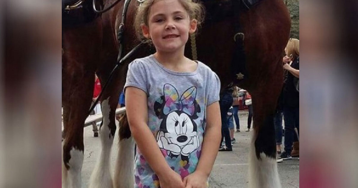 Little Girl Poses With A Clydesdale — Then Dad Looks At The Photo And Explodes With Laughter