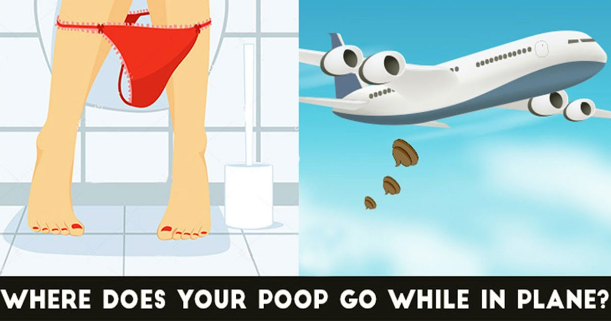 What Actually Happens To Your Poop In An Airplane Toilet Will Definitely Surprise You