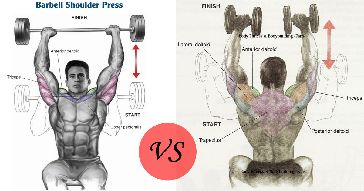 Dumbbell Versus Barbell Shoulder Press – Proper Technique & Benefits