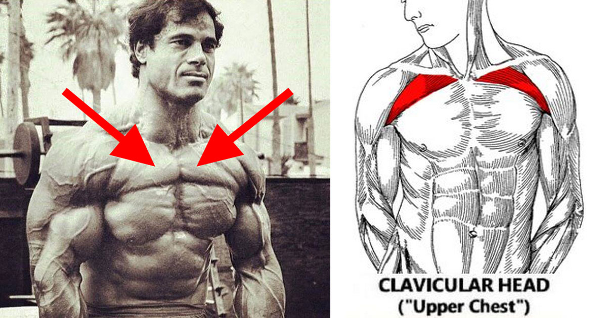 8 Ways To Build A Bigger Upper Chest