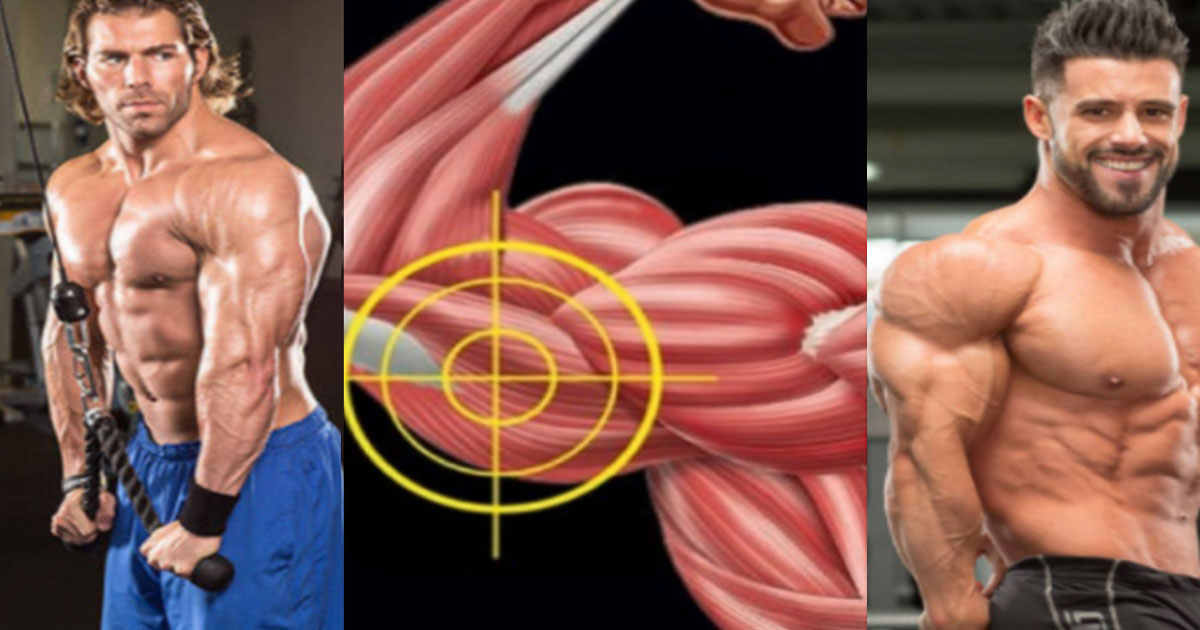 5 Key Strategies to Target the Long Head of the Triceps