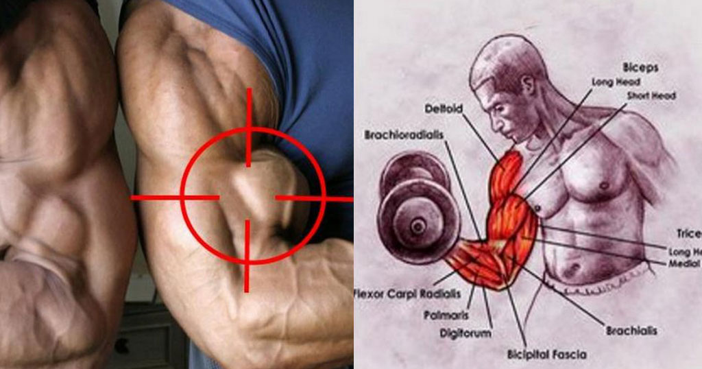The 3 Biggest Training Mistakes That Hinder The Growth of Your Biceps