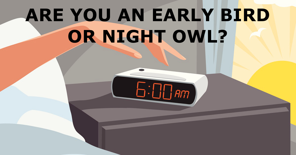 are you an early bird or a night owl meaning