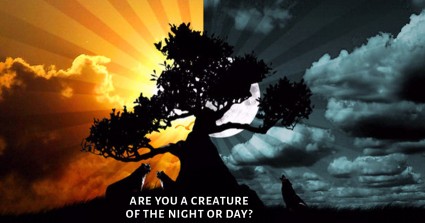 Are You A Creature Of The Night Or Day?