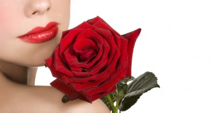 What Rose Represents Your Love?