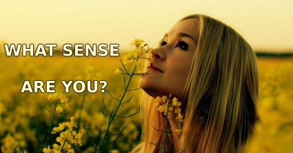 What Sense Are You?
