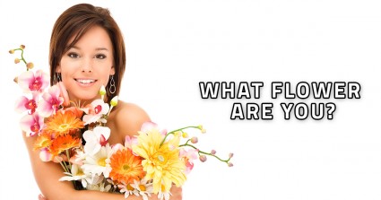 What Flower Are You?