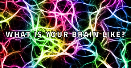 What Is Your Brain Like?