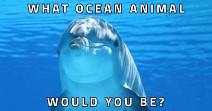 What Ocean Animal Would You Be?