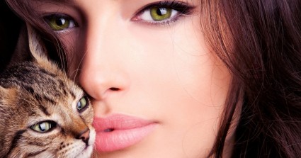 Which Breed of Cat Are You?
