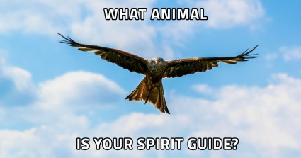 What Animal Is Your Spirit Guide?