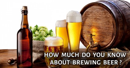 How Much Do You Know About Brewing Beer?