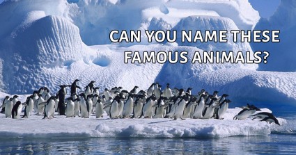 Can You Name These Famous Animals? 